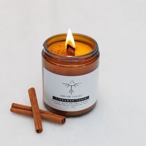 Cinnamon Cabin Organic Beeswax Candle 9 oz / Transcend Cosmetics